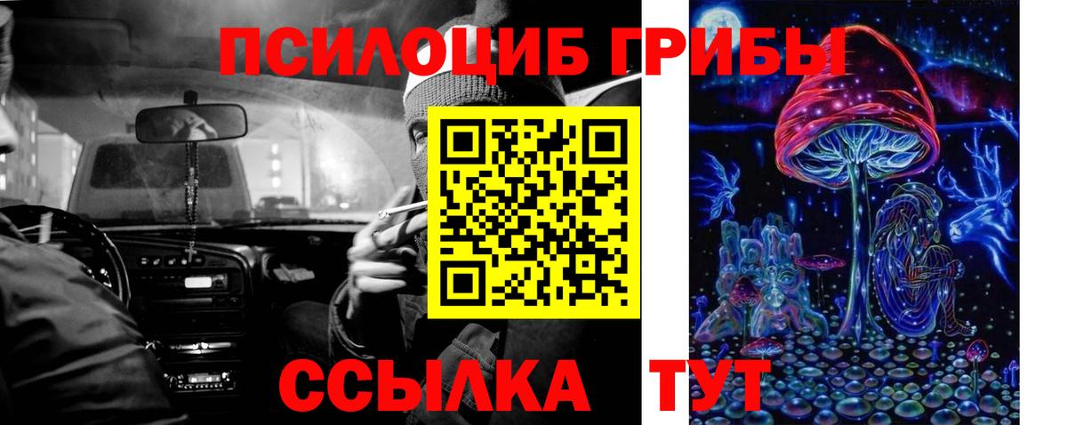 Михайловск  Псилоцибиновые грибы Magic Shrooms  Галлюциногенные грибы мицелий  купить наркотик  Вход с VPN 